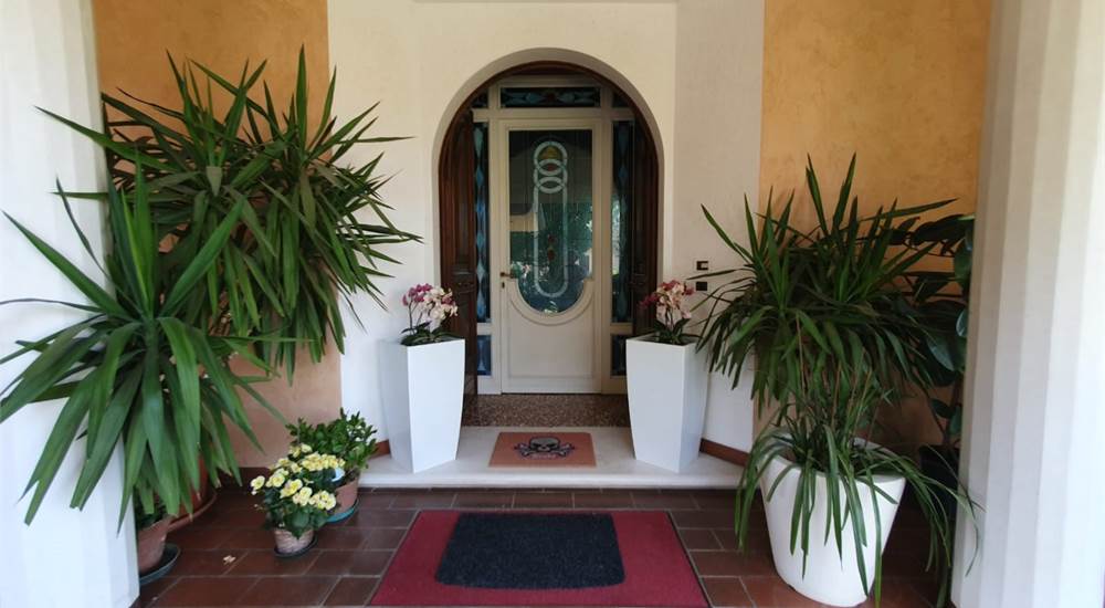 ingresso